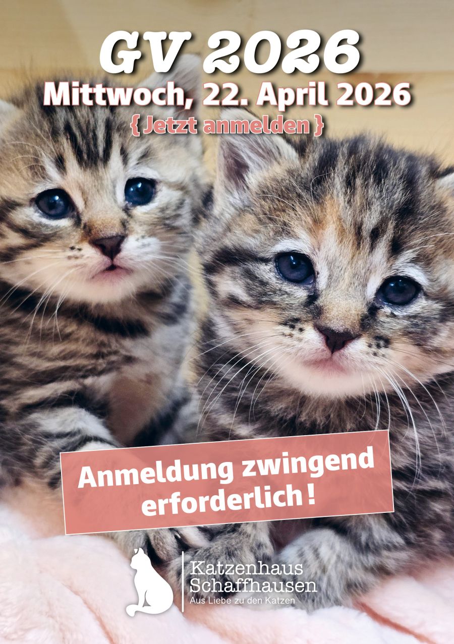 Einladung: Mitgliederversammlung «GV 2026»