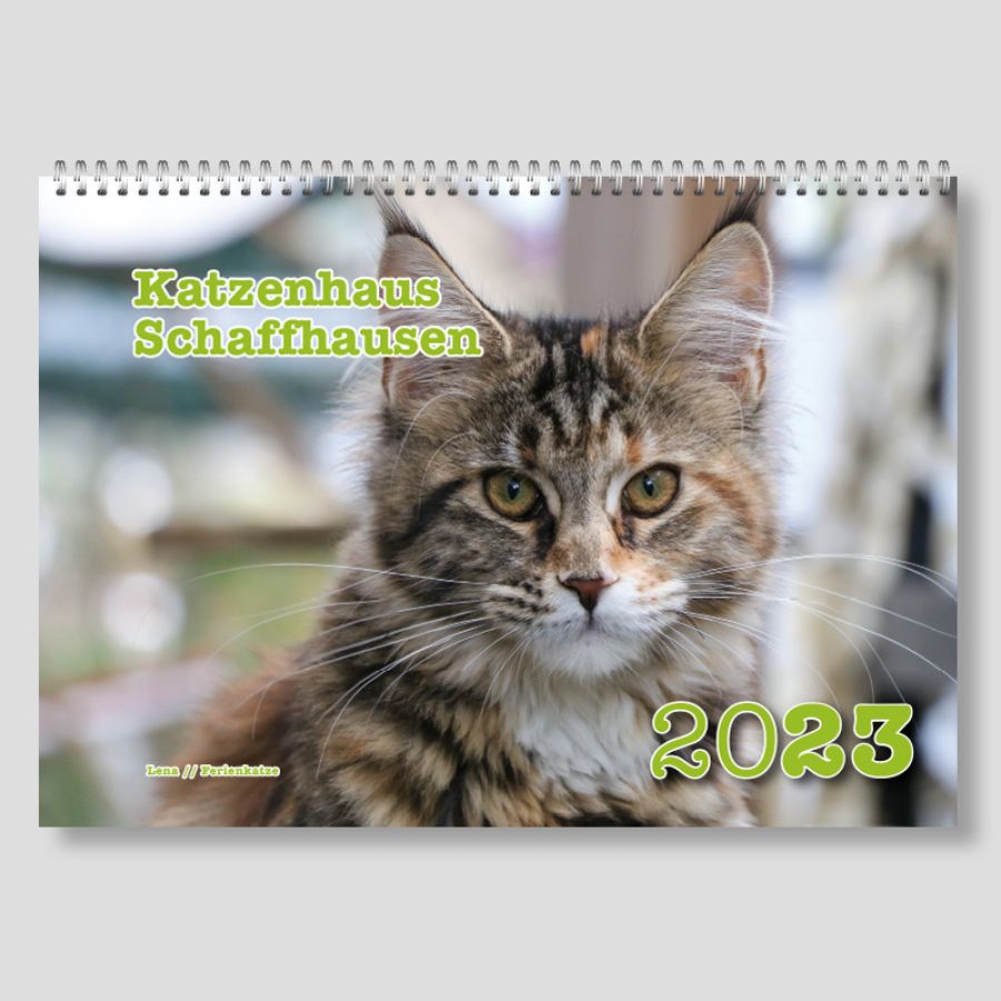 Jippi jippi yeah der Katzenkalender 2023 ist da