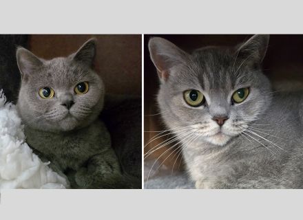 Julia & Jemeray (RESERVIERT)